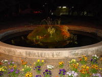 dsc06053.jpg