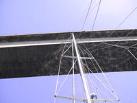 img_2500.jpg