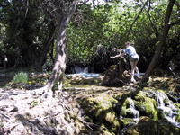 img_2505.jpg