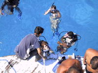 Аквалангисты