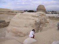 Сфинкс, вид сзади